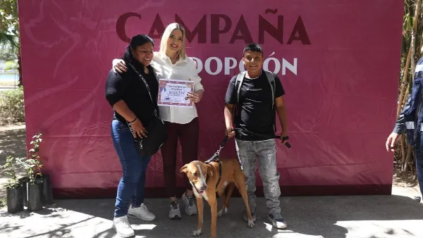 Gobierno de Mazatlán impulsa adopción de mascotas con campaña Huellitas del Bienestar en Parque Central